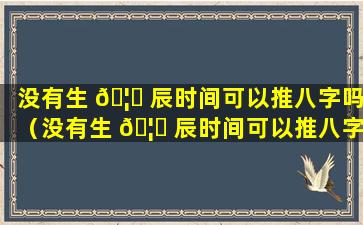 没有生 🦅 辰时间可以推八字吗（没有生 🦆 辰时间可以推八字吗女）